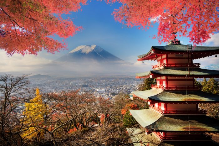 Japón al Completo