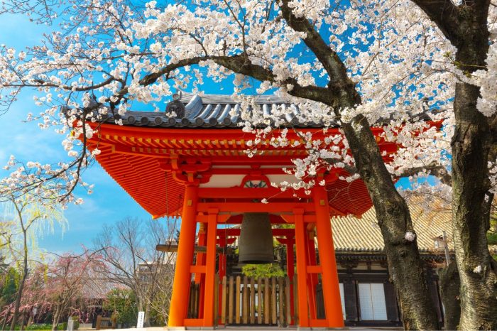 Primavera en Japón